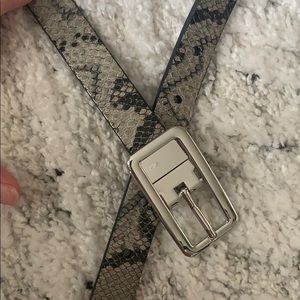 EXPRESS SILVER AND SNAKE BELT